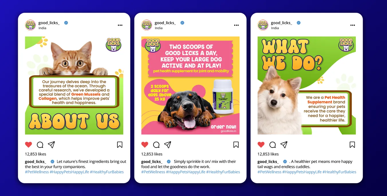 Case study Goodlicks img